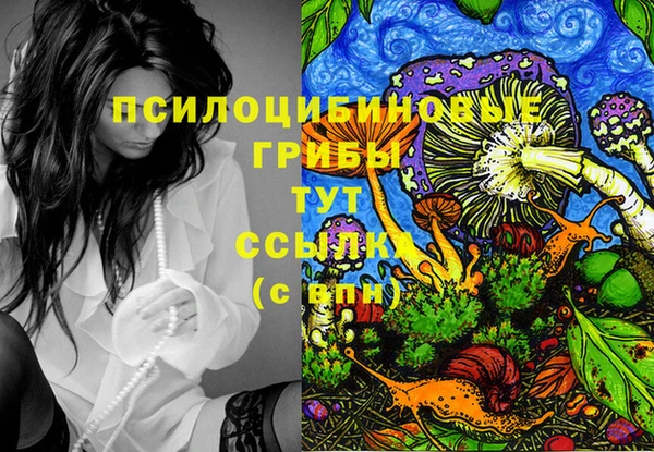прущие крисы Осташков