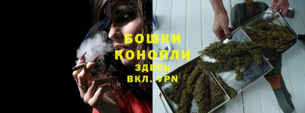 прущие крисы Осташков