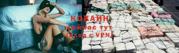 тгк Осинники