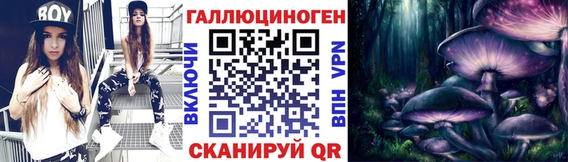 купить закладку  Курск  Галлюциногенные грибы GOLDEN TEACHER 