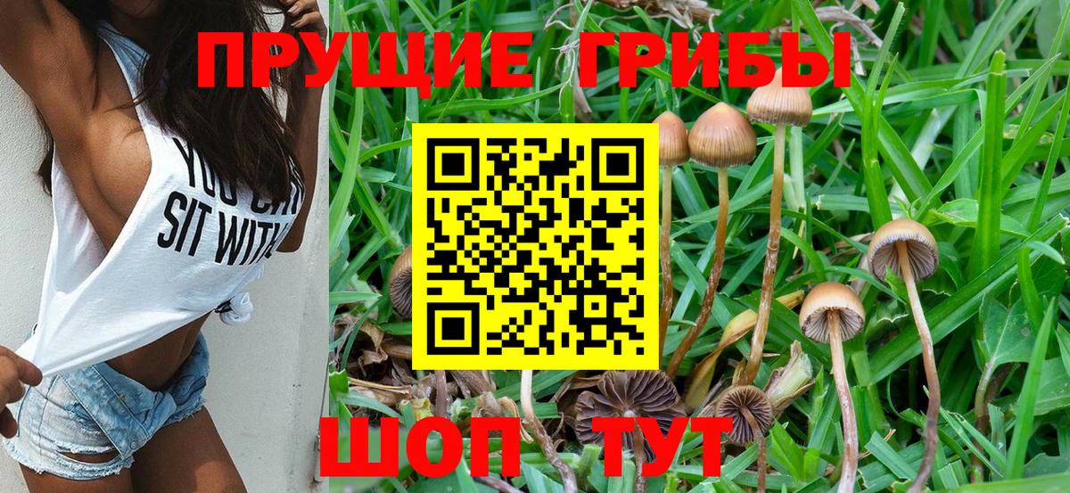 Псилоцибиновые грибы ЛСД Курск