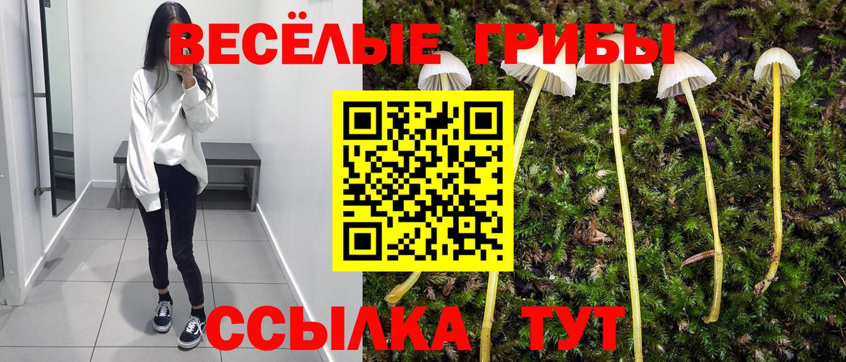 Курск  Галлюциногенные грибы Magic Shrooms  Вход с VPN  Псилоцибиновые грибы прущие грибы 
