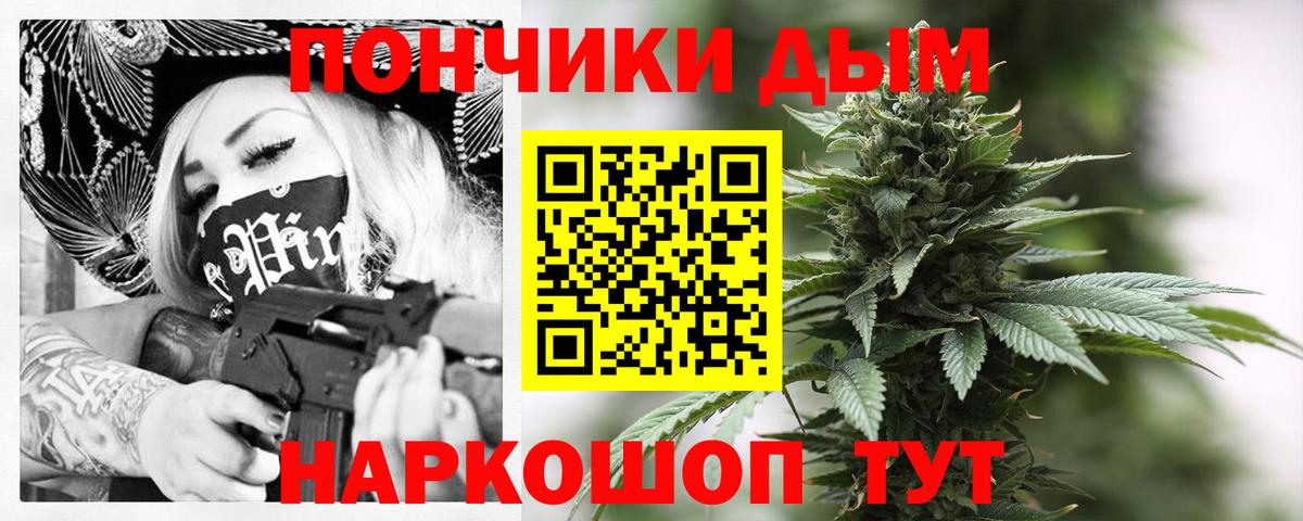 Бошки марихуана марихуана  Канабис сатива  Канабис SATIVA & INDICA  Курск 