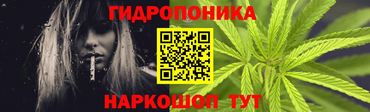 Конопля ГИДРОПОН Курск